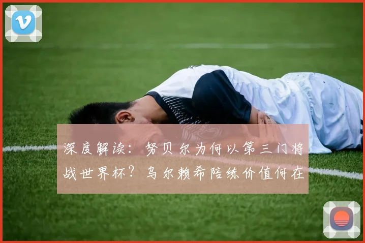 深度解读:努贝尔为何以第三门将战世界杯?乌尔赖希陪练价值何在