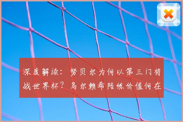 深度解读：努贝尔为何以第三门将战世界杯？乌尔赖希陪练价值何在